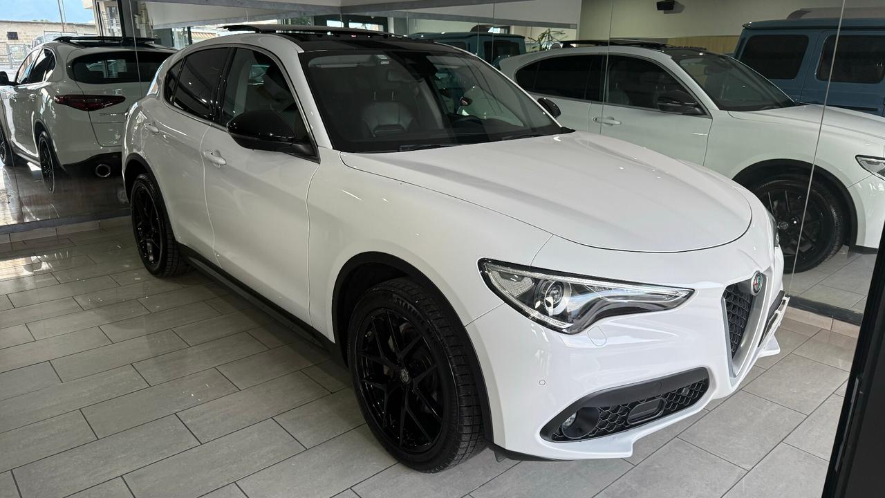 Alfa Romeo Stelvio 2.2 210 CV TETTO-CERCHIO 20