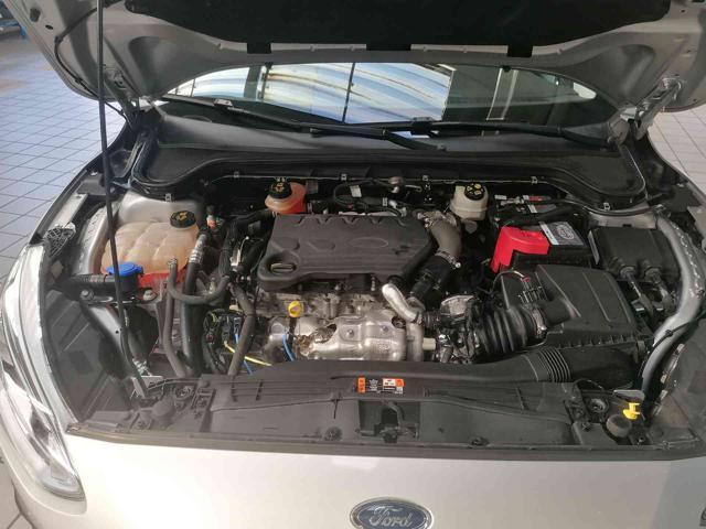 FORD Focus 1.5 EcoBlue 120 CV SW Business