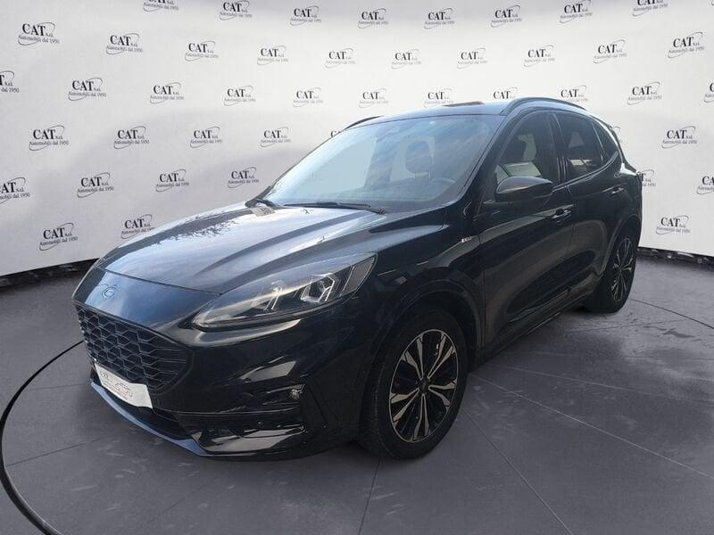 Ford Kuga Kuga 2.0 ecoblue ST-Line X awd 190cv auto