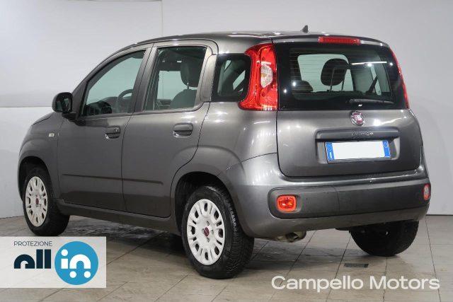 FIAT Panda Panda 1.2 69cv S&S Easy