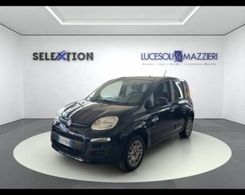 FIAT Panda 3ª serie - Panda 1.2 Easy