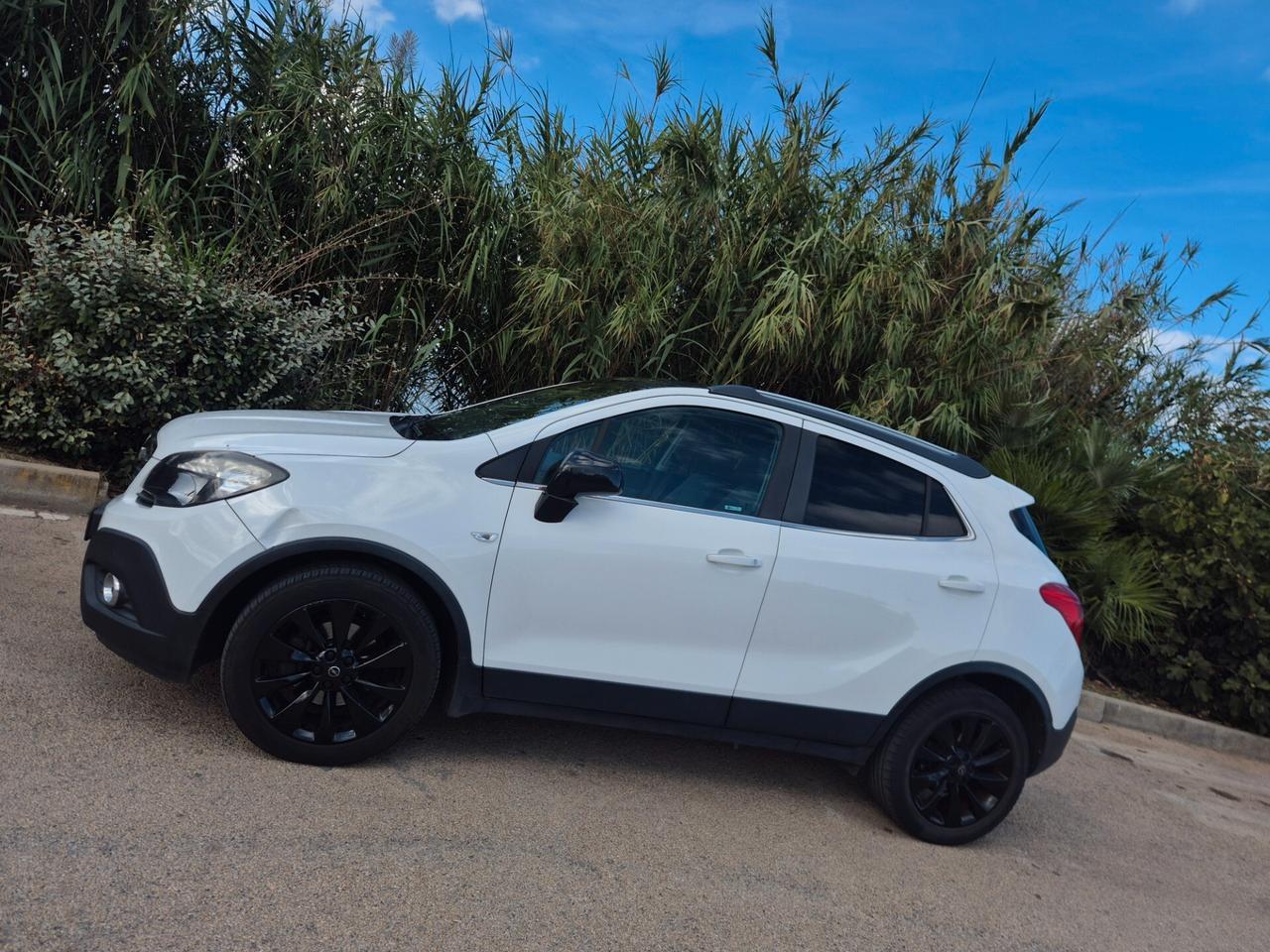 Opel Mokka 1.6 CDTI Ecotec 136CV 4x2 Start&Stop Cosmo b-Color