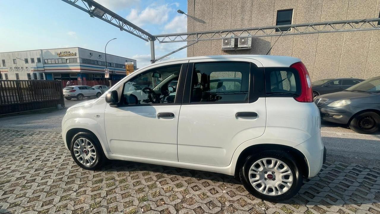 Fiat Panda 1.2 Easy