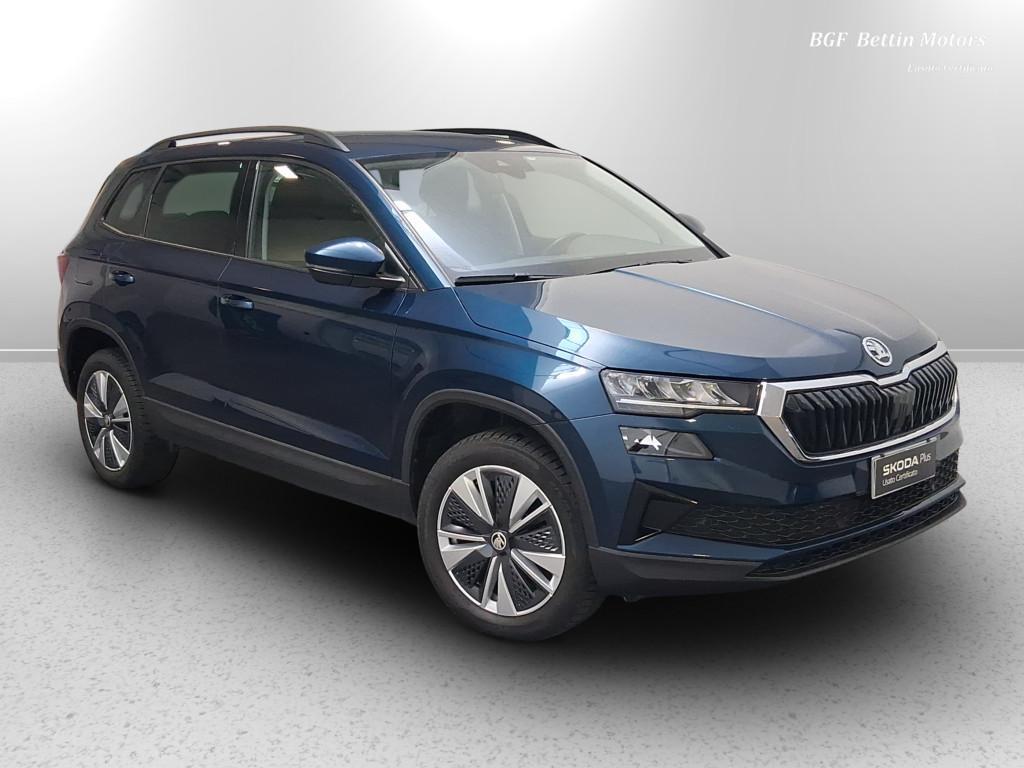 Skoda Karoq 2.0 tdi evo Executive 115cv dsg