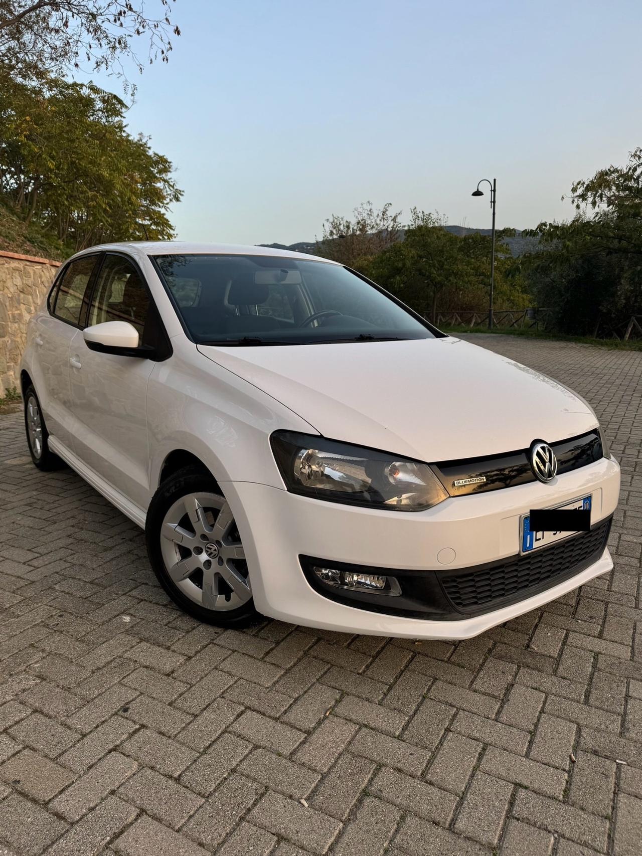 Volkswagen Polo 1.2 TDI 75Cv 2010