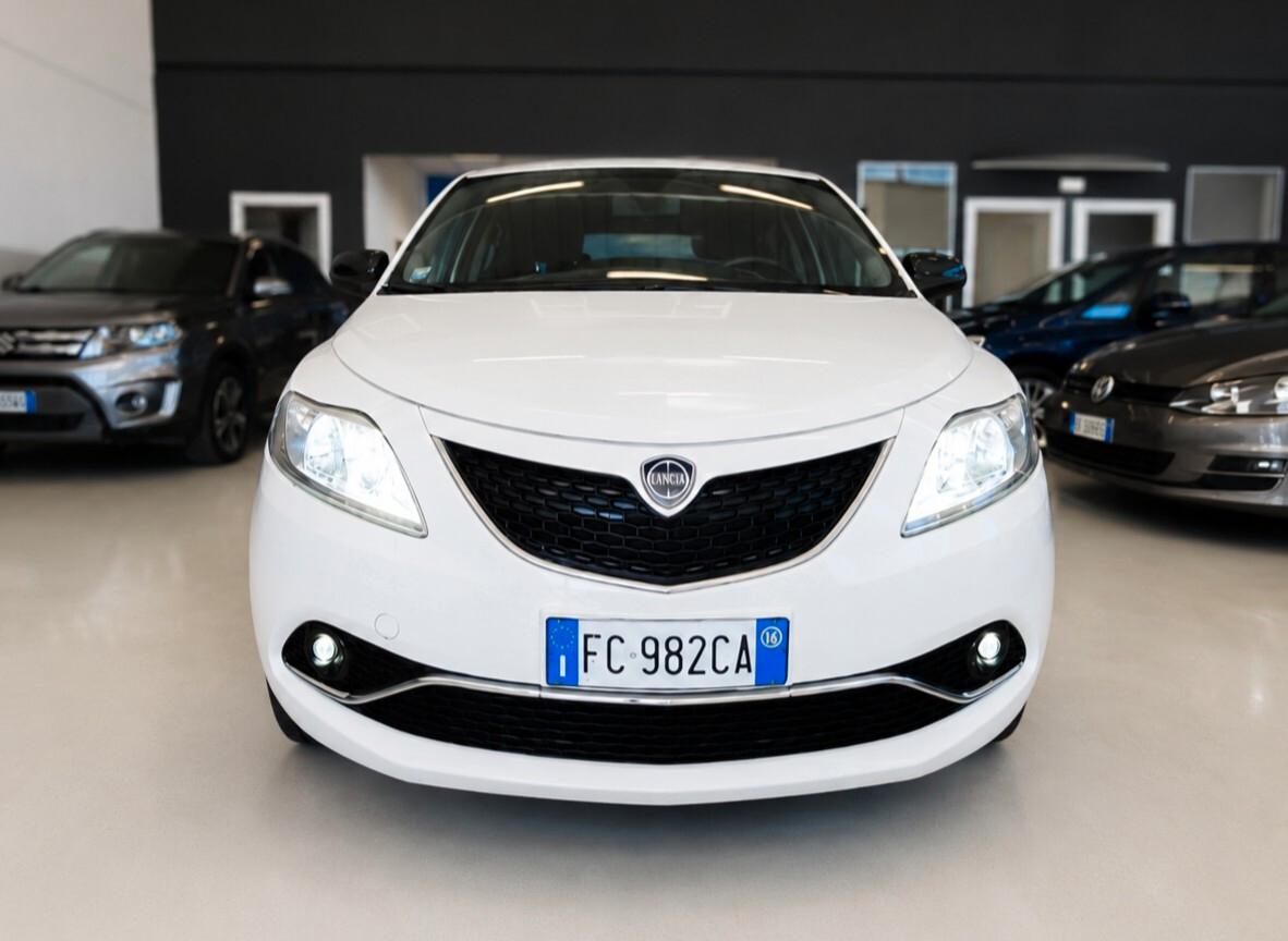 Lancia Ypsilon 1.3 MJT 16V 95 CV 5 porte S&S Platinum