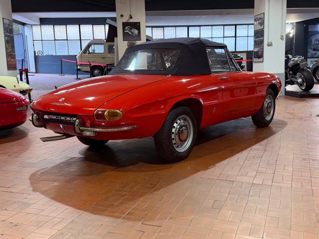 ALFA ROMEO Spider Osso di Seppia 1750 Veloce
