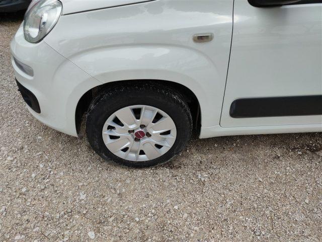 FIAT Panda New 1.2 Lounge CLIMA OK NEOPATENTATI ..