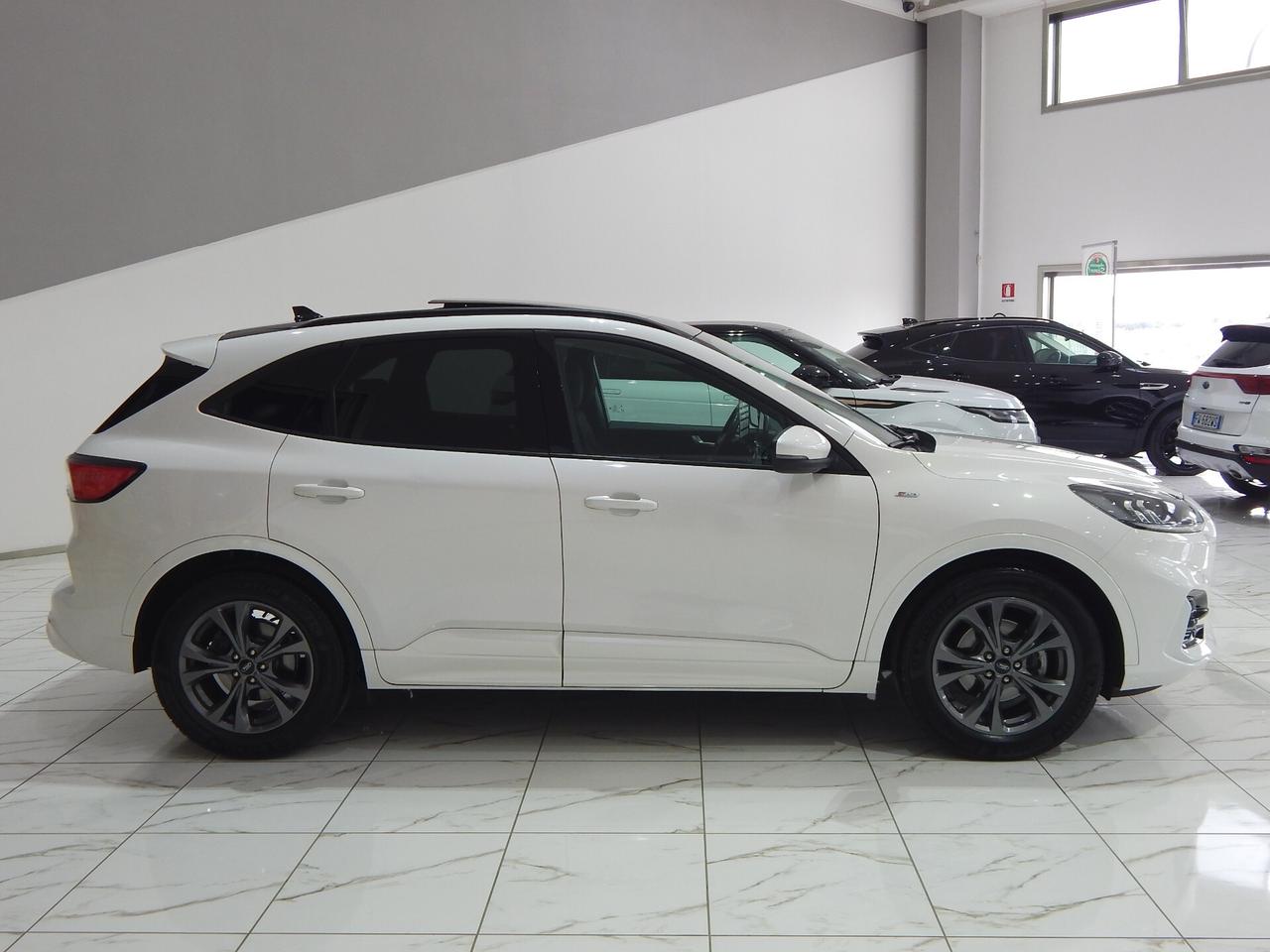 Ford Kuga 1.5 ecoblue ST-Line 2wd 120cv Aut. TETTO-NAVI-LED