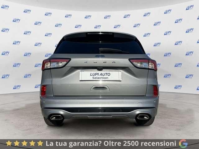 Ford Kuga 1.5 ecoblue ST-Line X 2wd 120cv