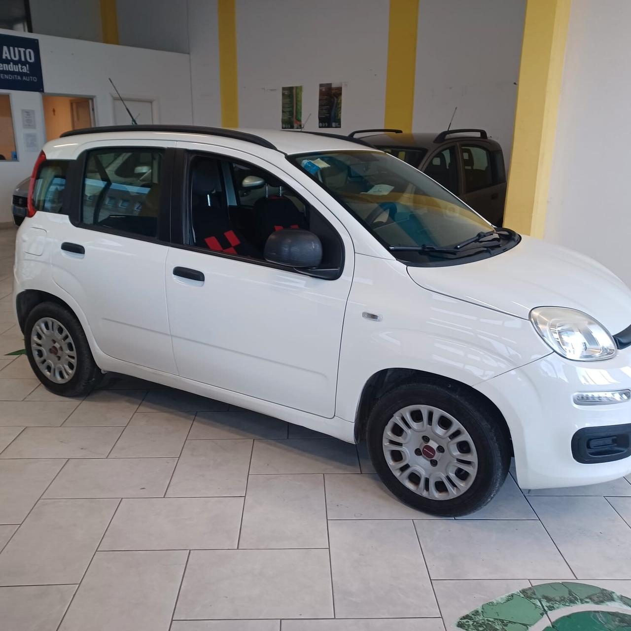 GARANZIA 12 MESI FIAT PANDA 1.2