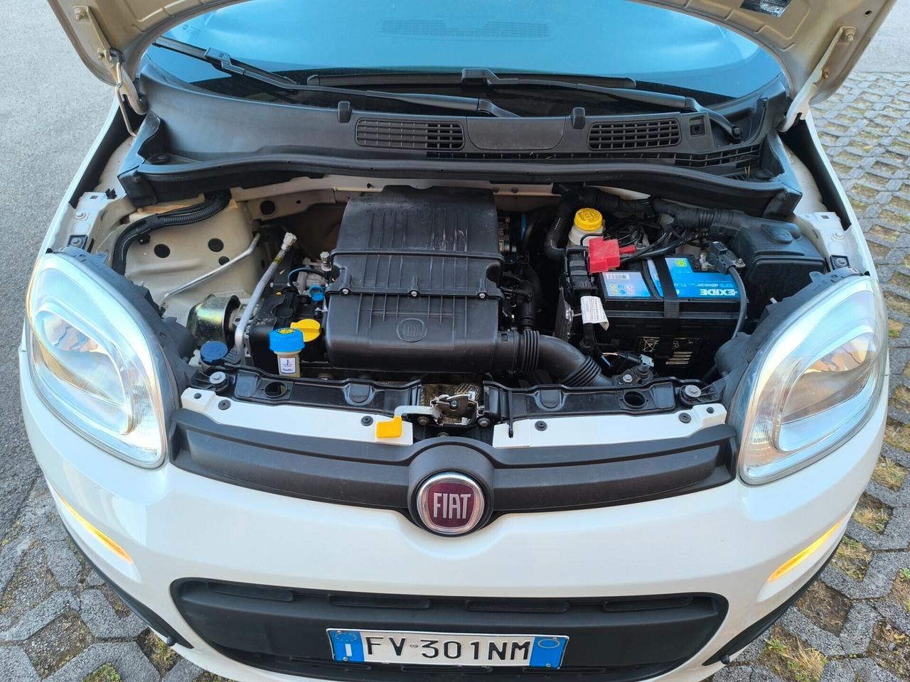 FIAT PANDA EASY 1.2 BENZINA 1 PROPRIETARIO KM 27.000