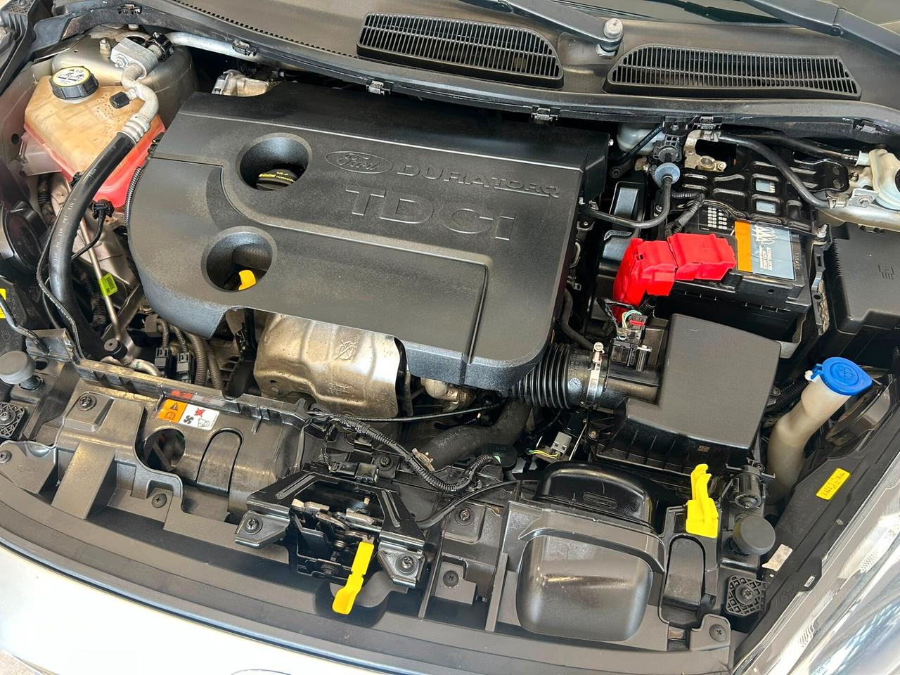 Ford Fiesta 1.5 TDCi 75CV 5P Titanium 2015