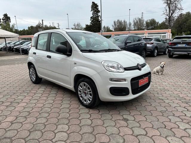 Fiat Panda 1.2 Benz. 70CV Easy - 2018