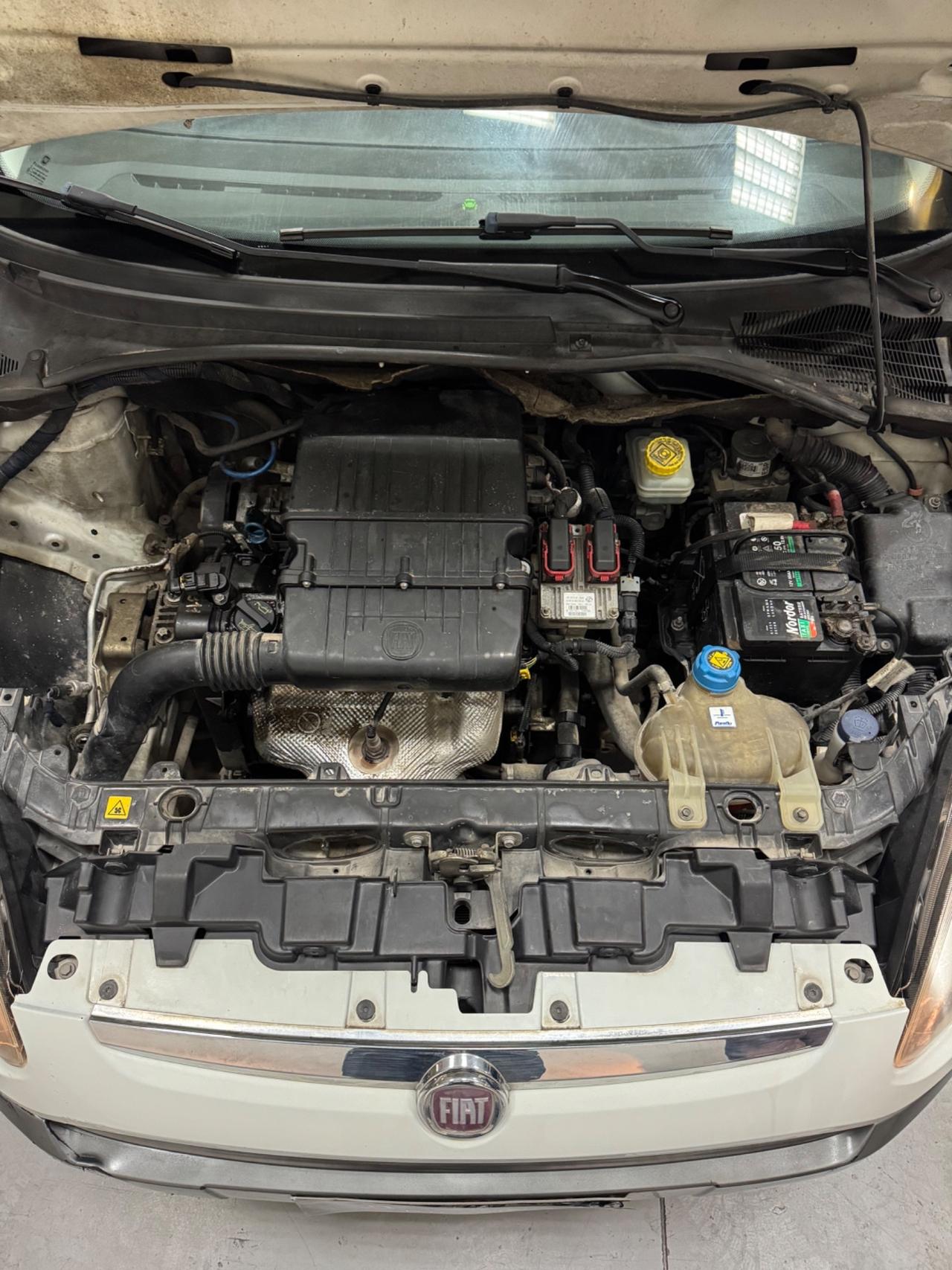 Fiat Punto Evo 1.2 5 porte S&S Dynamic