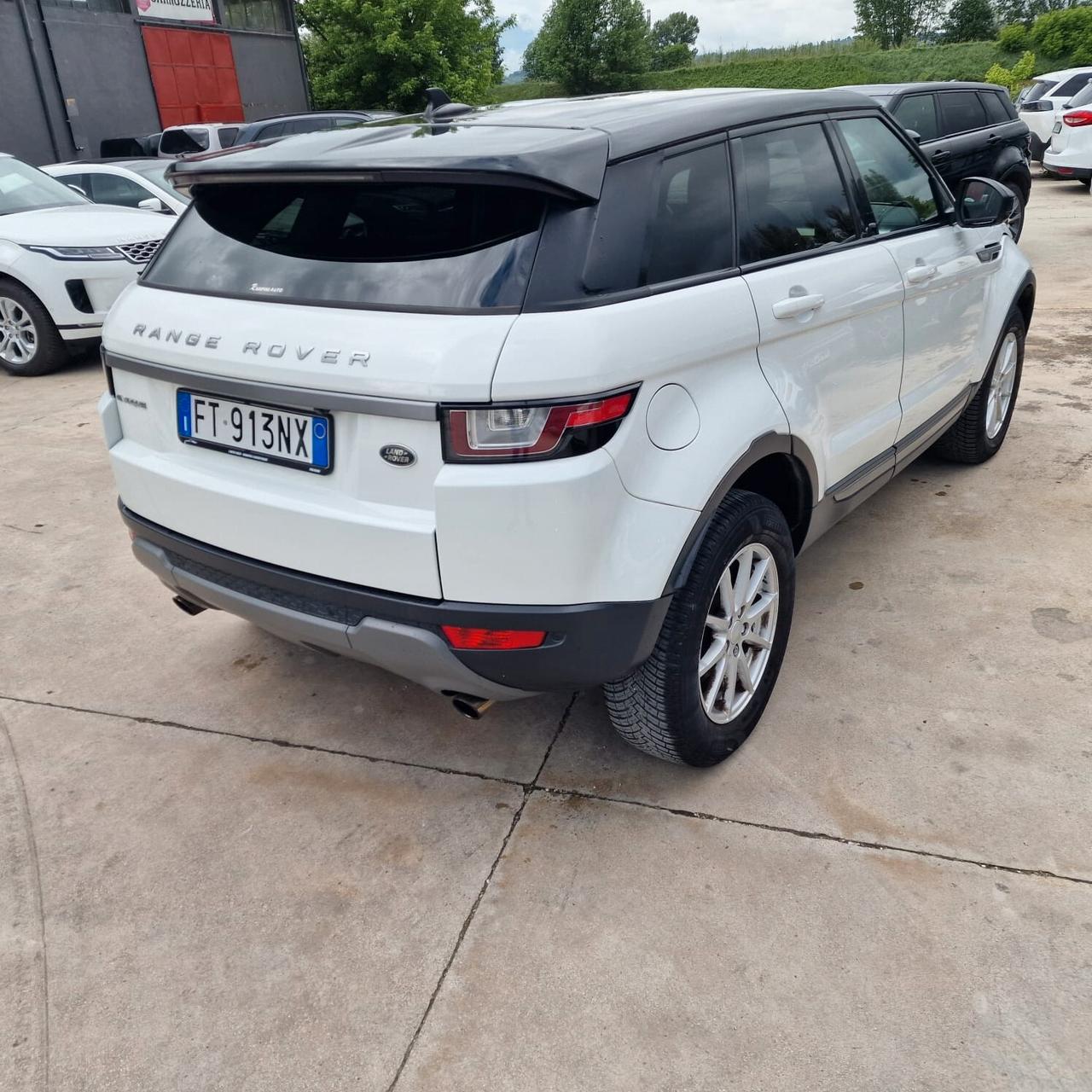 Land Rover Range Rover Evoque Range Rover Evoque 2.0 TD4 150 CV 5p. Pure