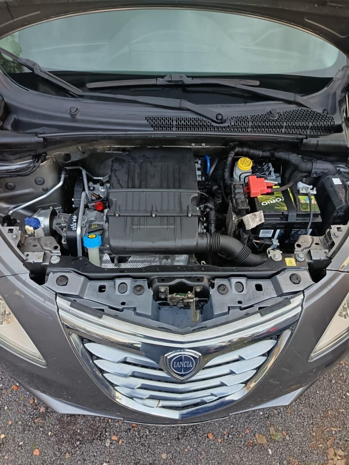 Lancia Ypsilon 1.2 69 CV 5 porte ok neopatentati