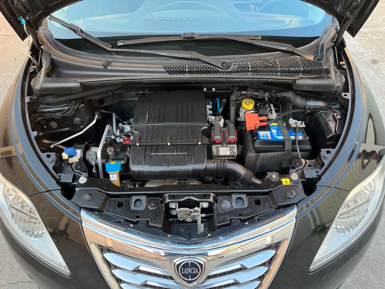 Lancia Ypsilon 1.2 69 CV 5 porte S&S Platinum