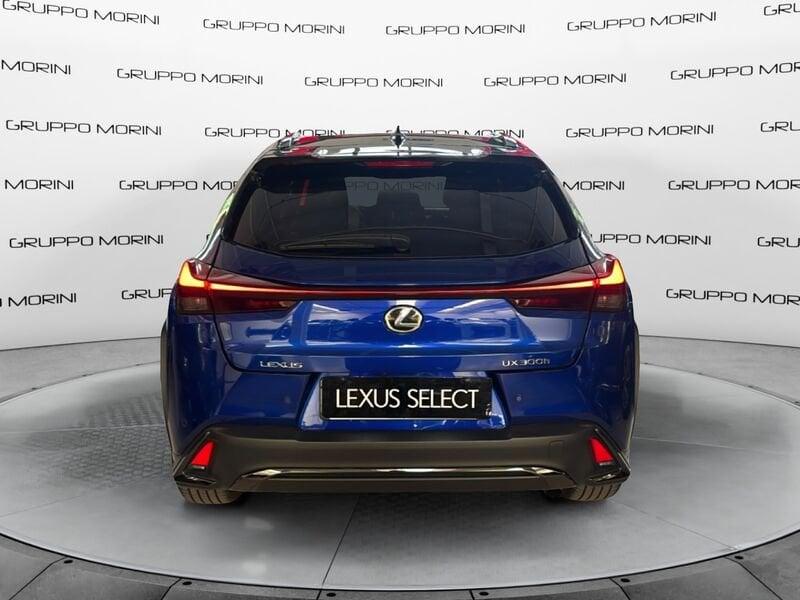 Lexus UX UX Hybrid F-Design 2WD MY24