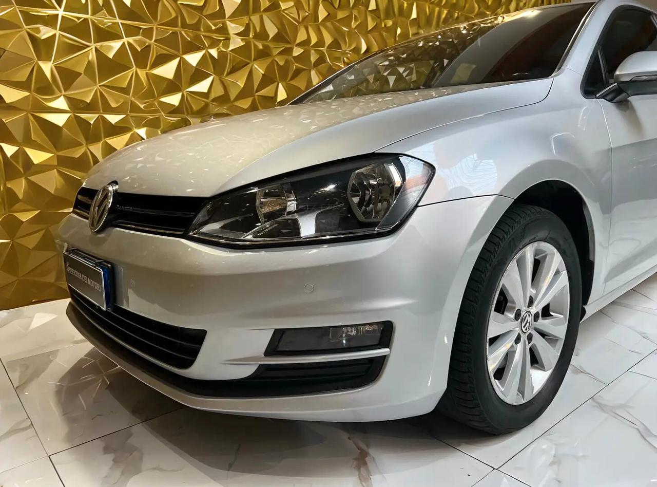 Volkswagen Golf 1.6 TDI 110 CV 5p. Executive BlueMotion Technology