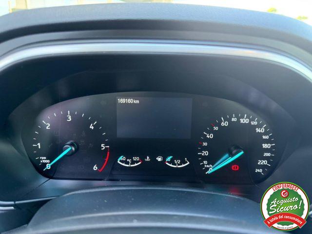 FORD Focus 1.5 EcoBlue 120 CV SW Business