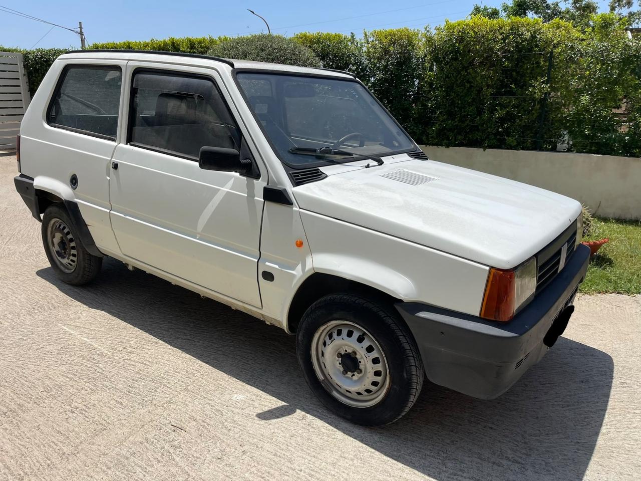 Fiat Panda 900 i.e. cat Young