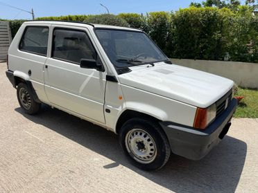 Fiat Panda 900 i.e. cat Young