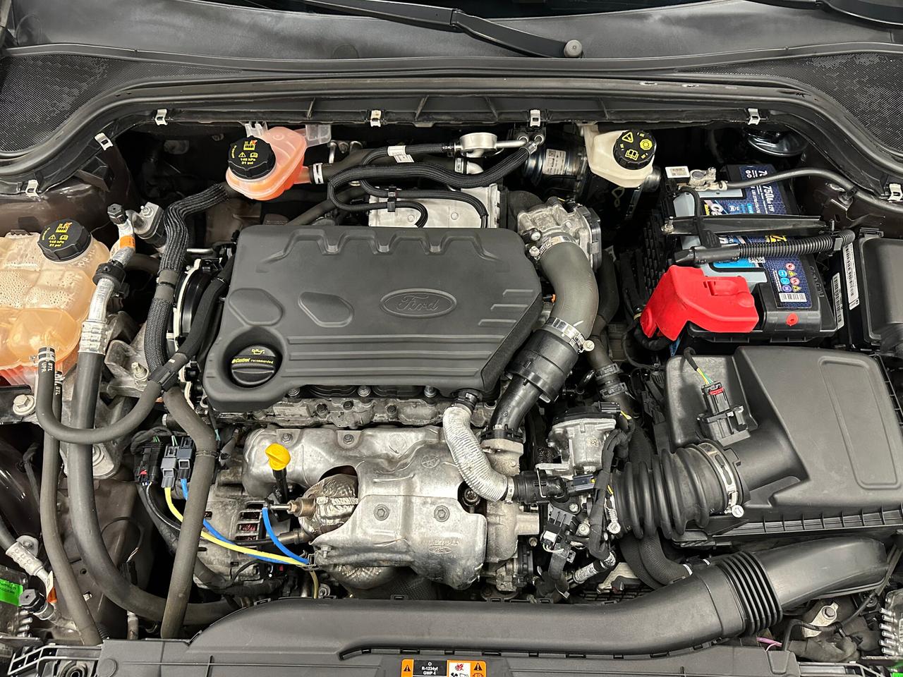 Ford Focus 1.5 EcoBlue 120 CV autom 5p. Vignale - 2019