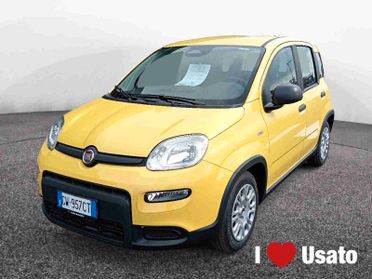 FIAT Panda III 2024 - Panda 1.0 firefly hybrid s&s 70cv