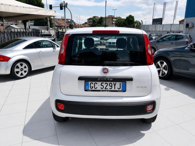 FIAT Panda Hybrid 1.0 S&S 69 Cv Neo Patentati