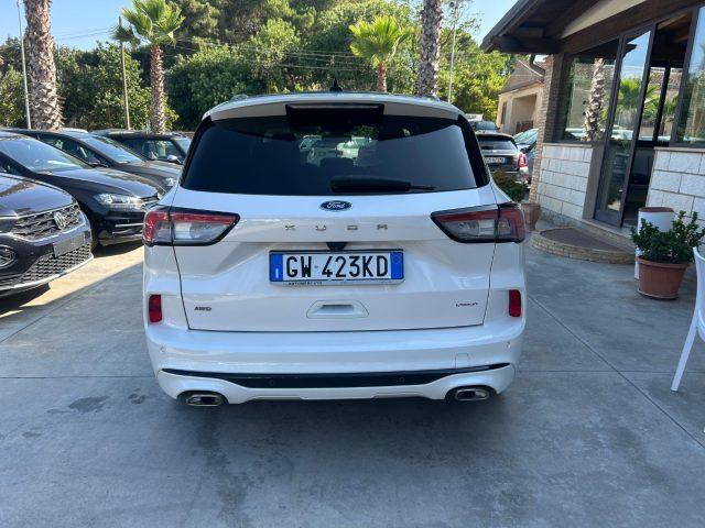 FORD Kuga 2.0 EcoBlue 190 CV aut. AWD ST-Line X