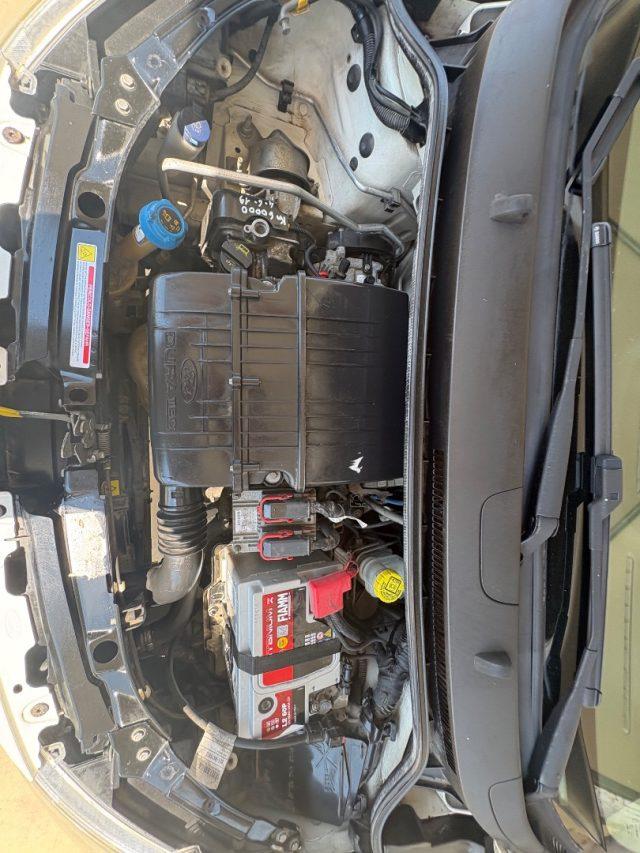 FORD Ka+ 1.2 8V 69CV Business PRONTA CONSEGNA EURO 5
