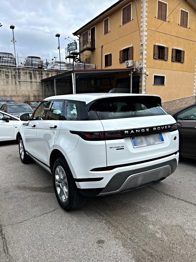 Range Rover Evoque 2.0D 150 CV S 2020