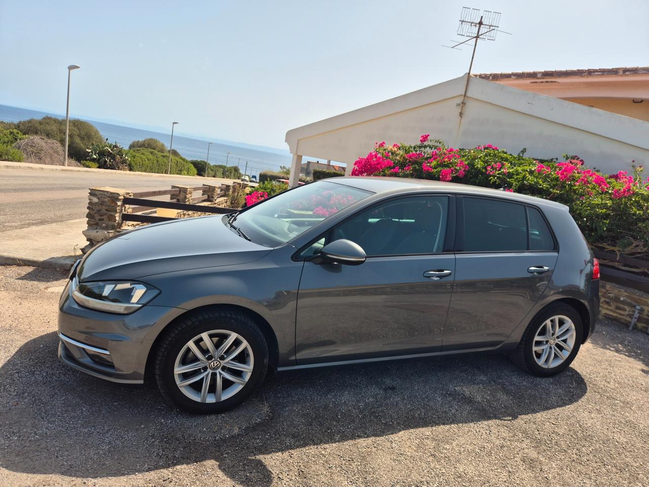 Volkswagen Golf 1.6 TDI 115 CV 5p. Business BlueMotion Technology