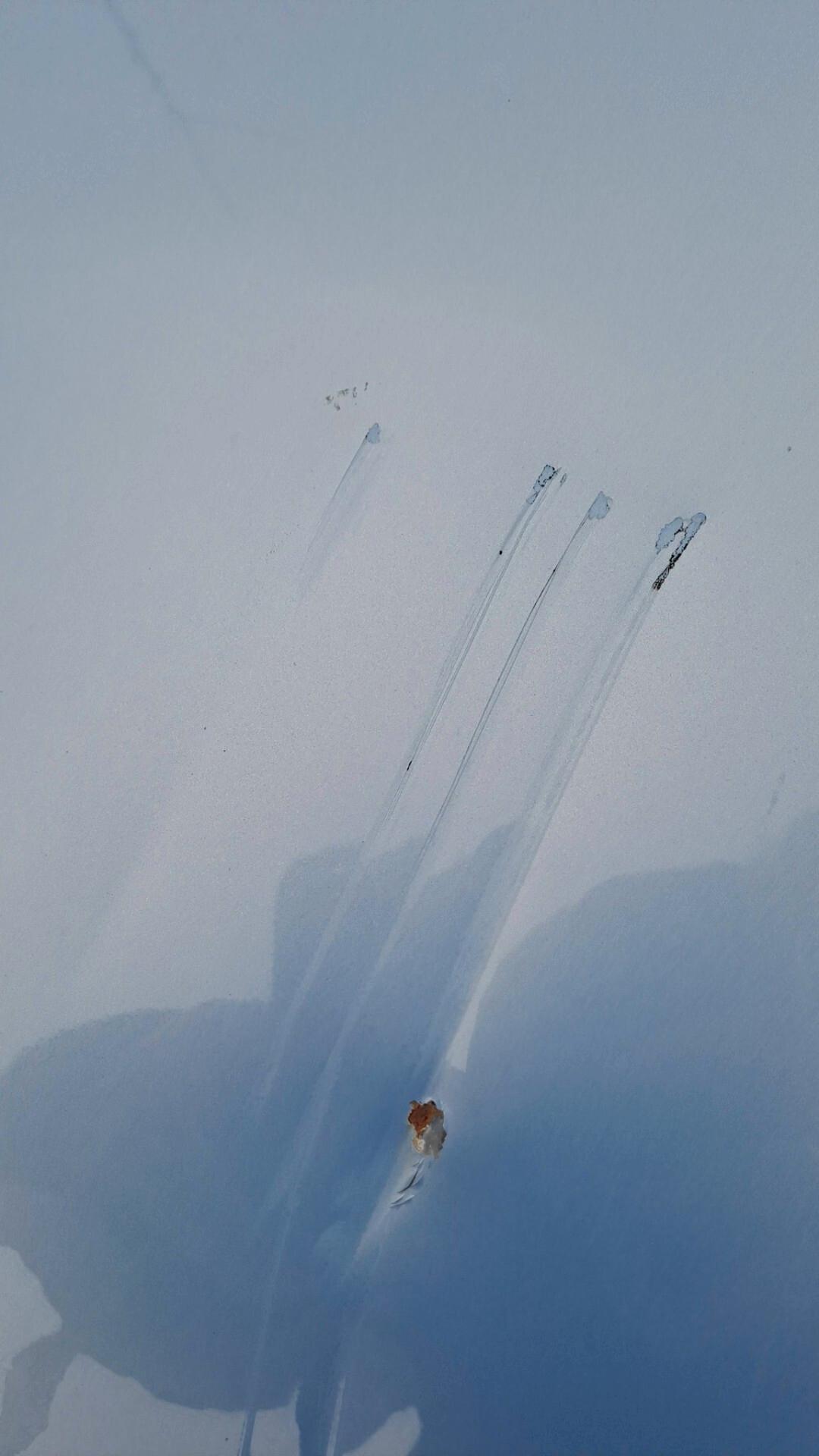 Fiat Panda 1.2 benz e GPL A SCOMPARSA