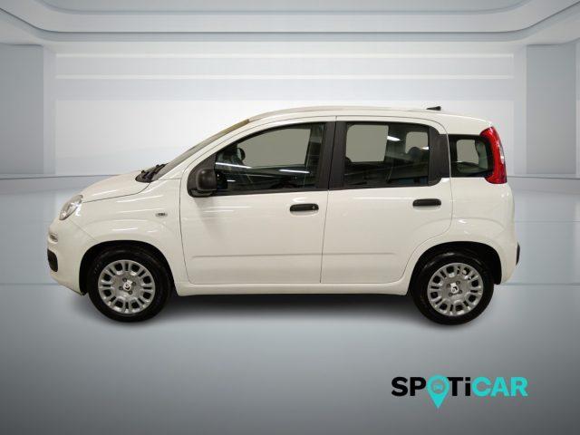 FIAT Panda 1.0 FireFly S&S Hybrid Icon