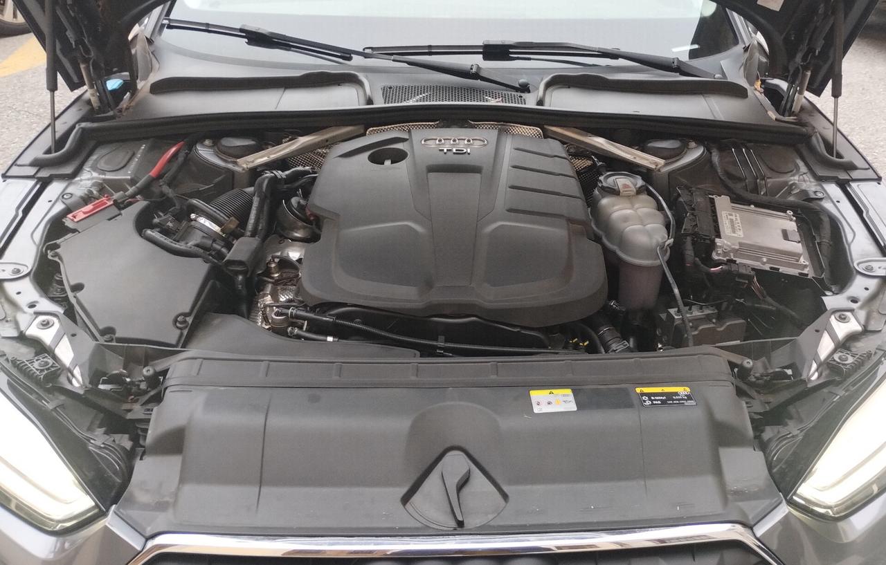 Audi A5 SPB 40 TDI quattro S tronic IVA ESPOSTA
