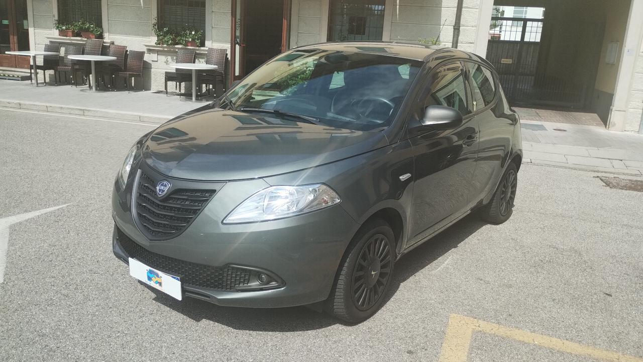 Lancia Ypsilon 1.2 69 CV 5 porte Elefantino NEOPATENTATI
