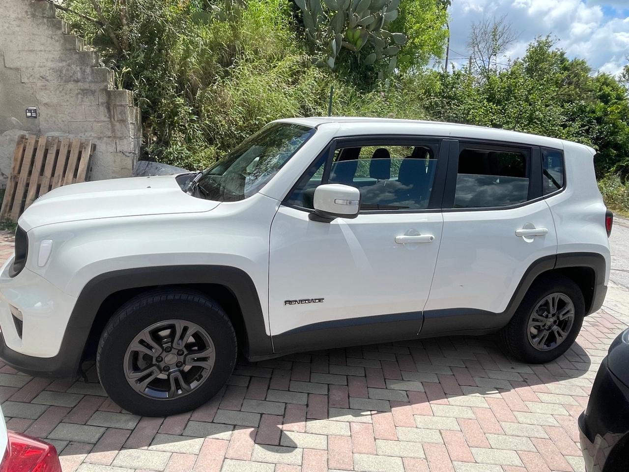 Jeep Renegade 1.6 Mjt 120 CV Longitude