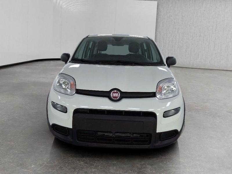 FIAT Panda 1.0 firefly hybrid s&s 70cv