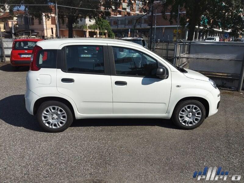 FIAT Panda MY25 1.0 70cv Hybrid