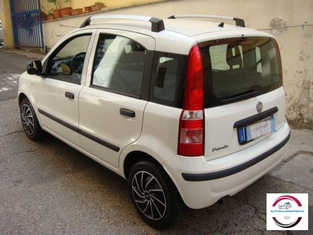 FIAT - Panda - 1.2 Classic
