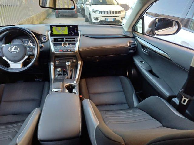 LEXUS NX 300 Hybrid Business Unico Proprietario Cronologia Tagl