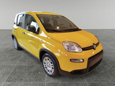 FIAT Panda 1.0 FireFly S&S Hybrid Pandina