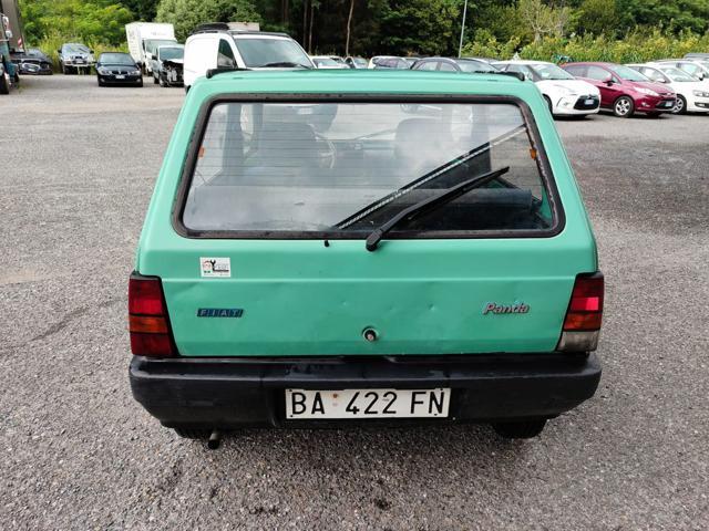 FIAT Panda 1ª serie 900 i.e. cat Young