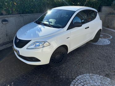 Lancia Ypsilon 1.2 69 CV 5 porte Elefantino Blu