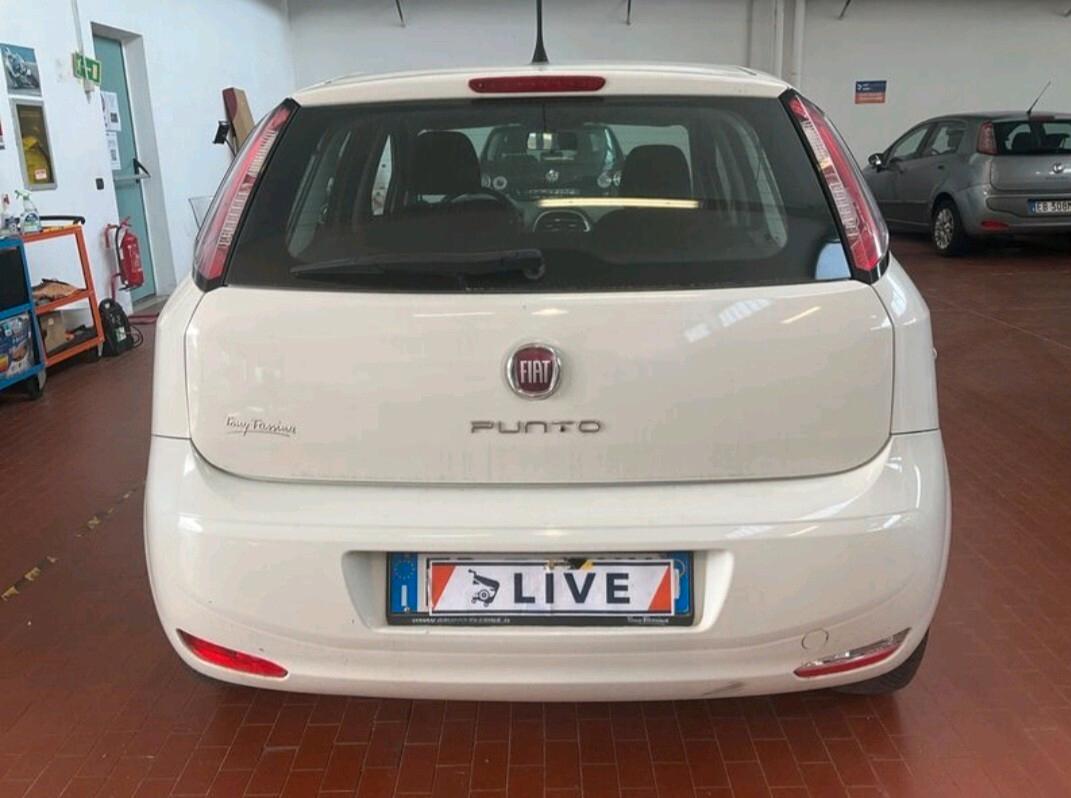 Fiat Punto 1.2 8V 5 porte Street