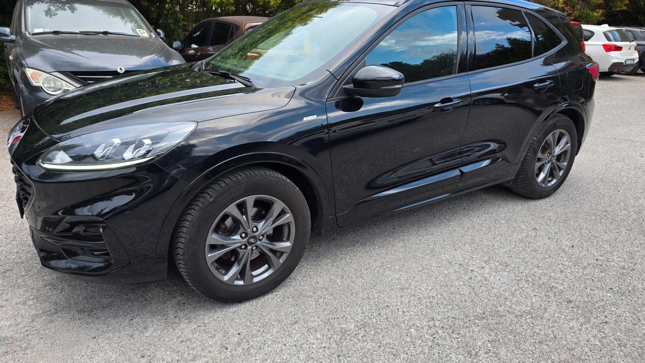 Ford Kuga 1.5 EcoBlue 120 CV 2WD ST-Line
