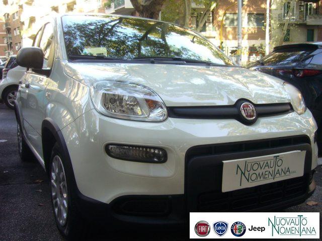 FIAT Panda 1.0 FireFly S&S Hybrid 5°Posto Radio Fiat