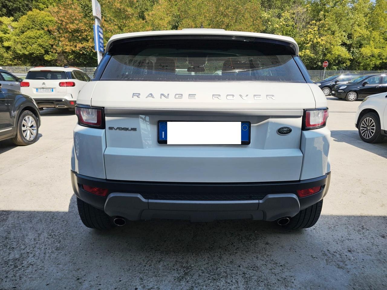 Land Rover Range Evoque 2.0 TD4 150 CV 5p. Business Edition Pure